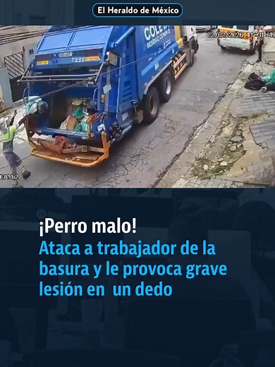 Según los reportes, el empleado realizaba su jornada junto a sus compañeros cuando el animal comenzó a morderlo, provocándole heridas de consideración en una de sus manos. Compañeros intentaron auxiliarlo mientras ocurría el ataque, que rápidamente generó indignación en redes sociales y reavivó el debate sobre la responsabilidad de los dueños de mascotas.