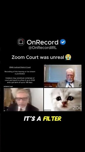 The Most Unforgettable Zoom Court Fail