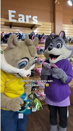 Discover Stunning Seasonal Ears at Great Wolf Lodge