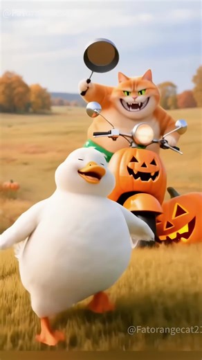 Fond of picking fights orange cat!#funny #orangecat #cartoon #viral #kitten