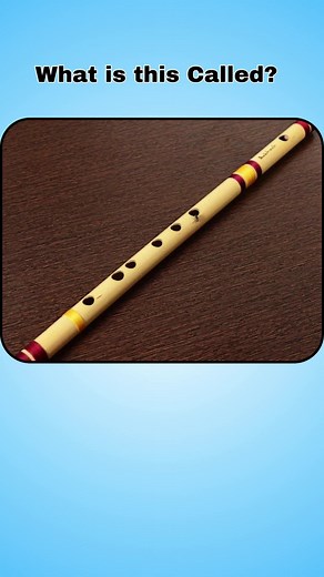 Can you name these Musical Instruments_ #vocabulary #englishlearning #dailyenglishpractice #fyp #fypシ #TikTok #Viral #foryou #foryoupage #TiKTOKVIRAL#teacher #inglesonline #learnenglishonline #easyenglish #englishwords #englishspeaking #speakingenglish #vocab #englishidiomss #wordofthedaye #cursodeingles #dicasdeingles #speaking #study #learningisfun #englishisfun #spokenenglish #languagelearning #pronunciation #teachingenglish #learninglanguages #bhfyp #englishlearners #inglese #phrasalverbs #i