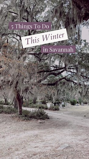 Winter Activities in Savannah, Georgia
