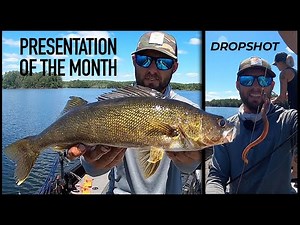 How Tom Boley dropshots Walleye Now