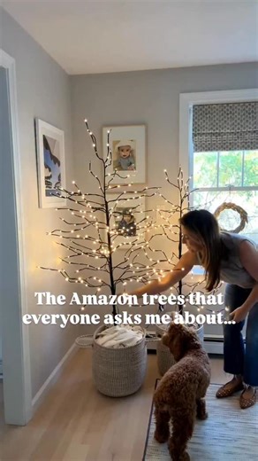 1.4K views · 7 comments | The perfect way to add some extra sparkle to your home for the holidays!!! They come in a set of 3 and you can order them right from Amazon! Comment SHOP below to receive a DM with the link to this post on my LTK ⬇ https://liketk.it/5x05X | KBdesign02025 | Facebook