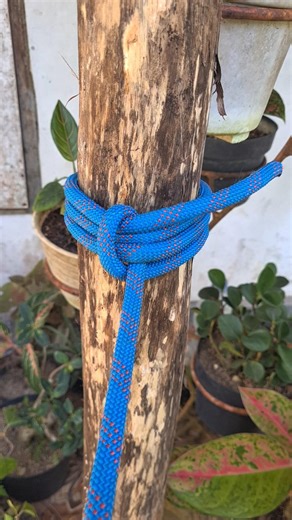 Tips And Trick Knot,Simple💯