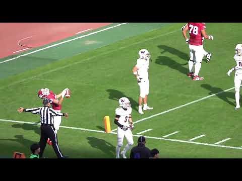 【2024 全日本大学アメリカンフットボール選手権】立命館大学 vs. 早稲田大学 2024年12月1日【準決勝 試合フルバージョン】