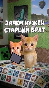 Why do you need an older brother? Kitties explain.😽