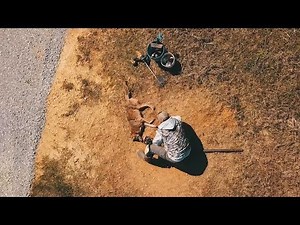 The 10 Commandments of Predator Trapping - The Management Advantage