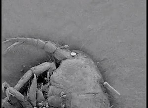 24K views · 156 shares | Zooming in from 1mm to 500nm. | Inverse | Facebook