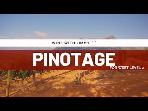 Pinotage Explained: South Africa’s Signature Grape | WSET Level 2 Guide