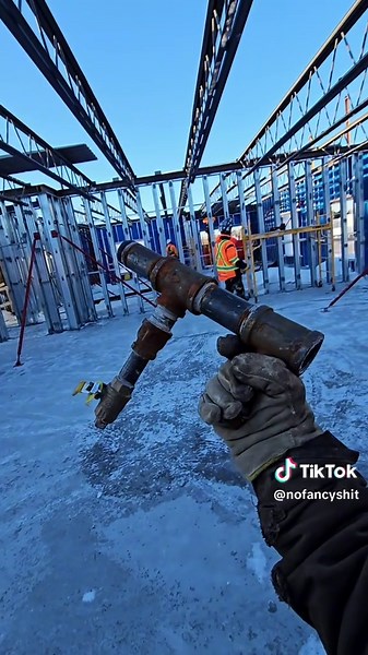 Rawr Girl: The Fun Behind the Meme and Merchandise