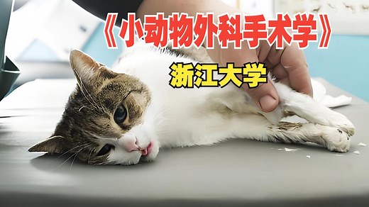 《小动物外科手术学》浙江大学（全89集）精品课程