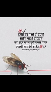 Swati Patil on Reels