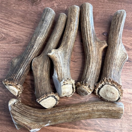 6 Large Elk Antler Dog Chews 9” Thick | Aggressive Chewers | Bulk Dog Chew Pack