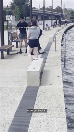 1.8M views · 30K reactions | A police officer and passers-by had to hop into action to rescue a kangaroo from Canberra’s Lake Burley Griffin yesterday morning. ABC reporter Timothy Fernandez was riding around the lake at Acton when he came across the rescue mission at around 11:00am. | ABC Canberra | Facebook