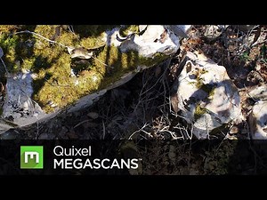 Megascans Release Trailer