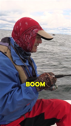 67K views · 239 reactions | Tiny minnow perch catch! #fishing #fishingtime #fishingtips | Thundermist Lure Company | Facebook