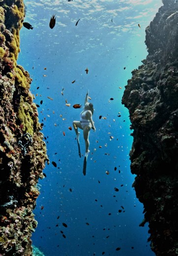 panglao.freediving on TikTok