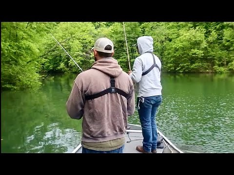 Catching a Variety of BIG!! Fish - Dale Hollow Lake Tennessee