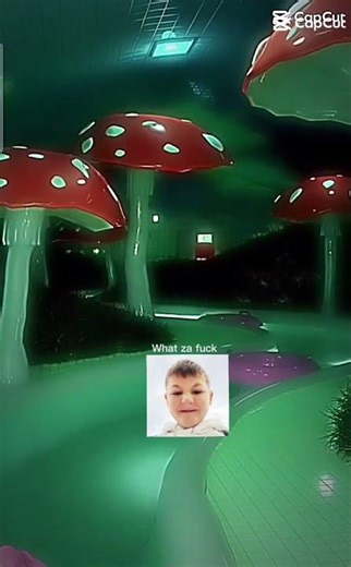 when apple maps goes the wrong way#funny #fyp