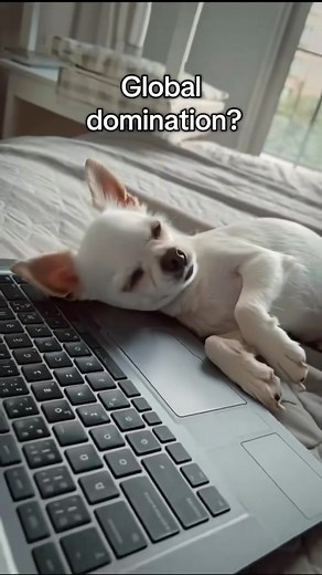 17K views · 928 reactions | If I’m getting on your nerves…GOOD! That means the Alpha takeover is working拾 Two sleeps till global domination, darlings...  | Destiny’s Chis | Facebook