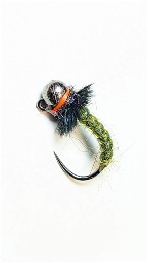 Olive Caddis Larva Euro/Jig Nymph. #flytying #flyfishing #euronymphing #nymphs #caddis
