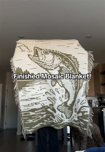 Mosaic Crochet Blanket Finished — Finished Mosaic Blanket!