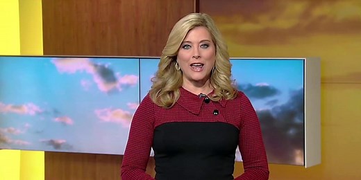 Kelly Cass (Weather Channel) Wiki, age, husband, salary, body - Biography Tribune