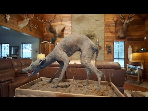 Expedition X | Season 10 Episode 7 Preview | Texas Chupacabra [HD] [2025]