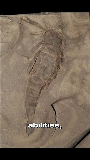 Pterygotus: The Giant Sea Scorpion of Prehistoric Oceans! 🦂🌊