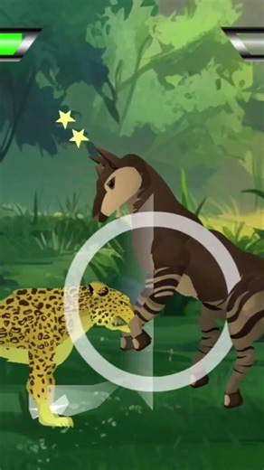 leopard vs okapi
