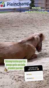 FFE - Fédération Française d'Equitation on Reels | Facebook