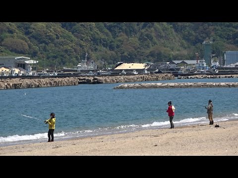 敦賀市の人気釣り場スポット(Fukui) 気比の松原