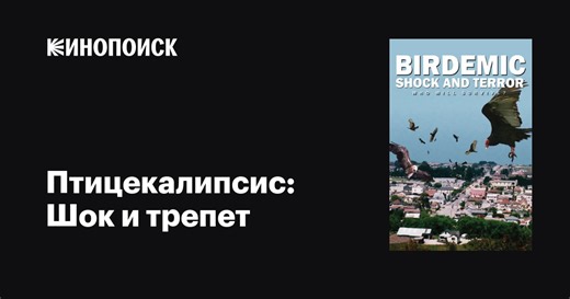 «Птицекалипсис: Шок и трепет» (Birdemic: Shock and Terror, 2010)