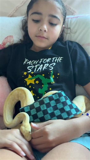 Ariana on Instagram: "Just chilling and snuggling with my Ball Python, Bananchick. He’s calm. He’s sweet. He’s the cutest. Snakes love warmth and trust, just like us. When you treat them with care, they feel safe. Who else loves snake snuggles? #Snakemasterexotics #BallPython #Bananchick #SnakeLove #ReptileKids SnakesAreAwesome ColdBloodedCuddles"