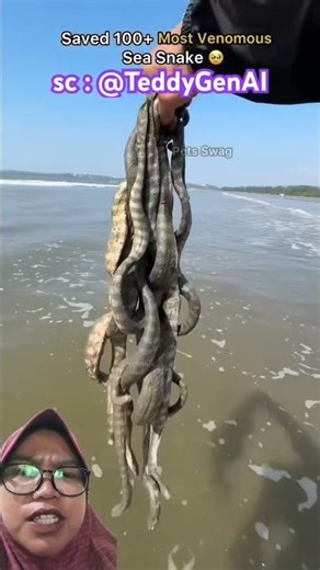 stranded sea snake ⁉️ @TeddyGenAI