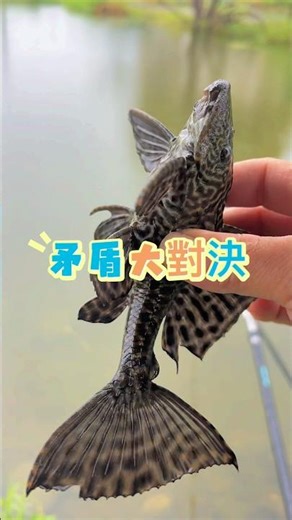 An alien creature that even birds wouldn't eat...😂