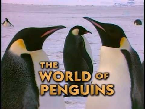 (1995) Nature: The World Of Penguins