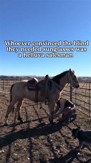 I’m still wondering how that pitch meeting went…