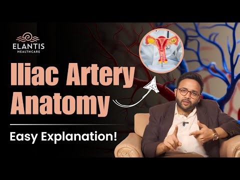 Internal Iliac Artery Anatomy | Step-by-Step OB GYN Surgical Guide! | Dr Mannan Gupta, Delhi
