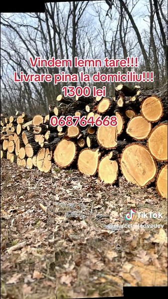 #fyp #rec #chisinaumoldova🇲🇩 #singeri #defok