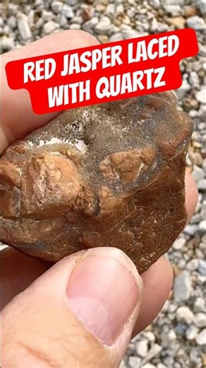 Beautiful Quartz Filled Jasper Discovered in OK Road Ditch! #geology #rockhounding #shorts