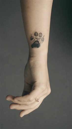 Paw Print Tattoo Cover Up Ideas and Designs