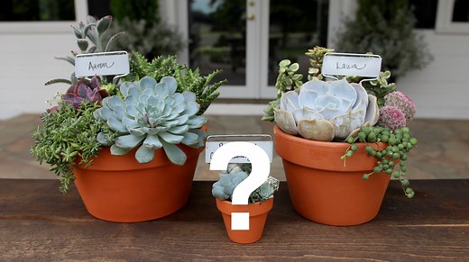 619K views · 16K reactions | Watch until the end for a super exciting announcement!  | Garden Answer | Facebook