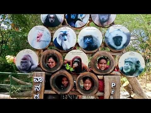Mysore Sri chamarajendra zoological gardens children's full happy#niharikavillagehomeentertainments