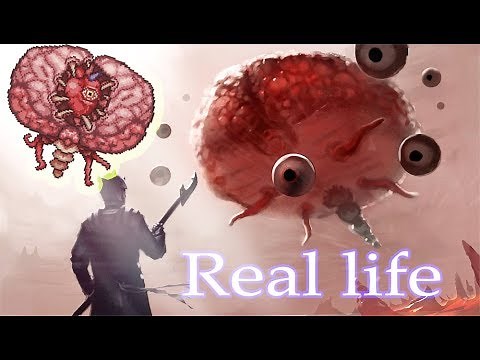 terraria bosses in real life