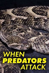 When Predators Attack (2019) - TV Show