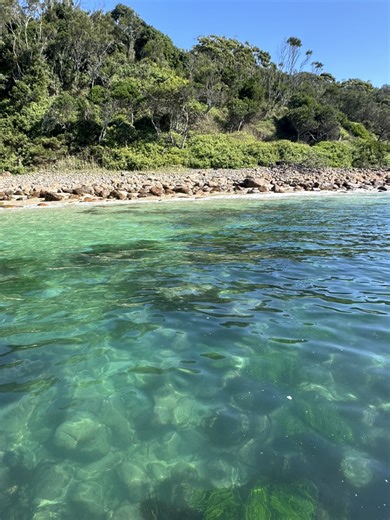 Happy weekend all 🎣🇦🇺 | Fishing Australia TV