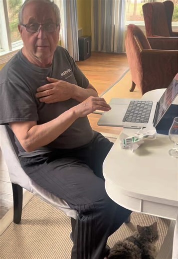 Control Your Home with a New Cat