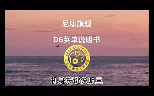 尼康旗舰D6相机视频使用讲解